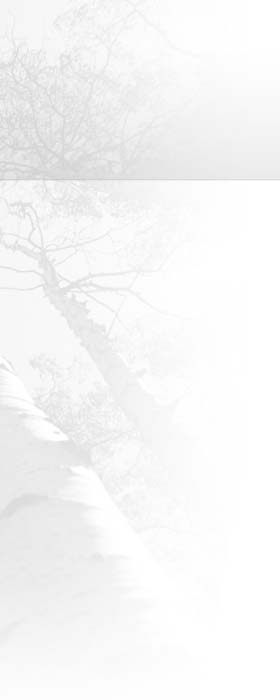 Aspen Digital - Internet Marketing background