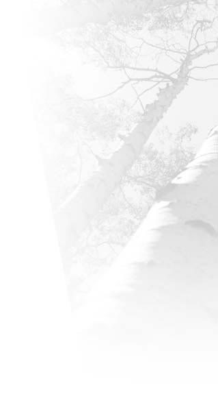 Aspen Digital - Internet Advertising background